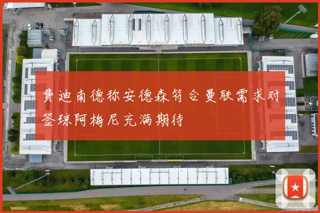 费迪南德称安德森符合曼联需求对签琼阿梅尼充满期待